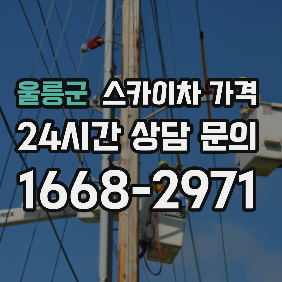 울릉군 스카이차 가격