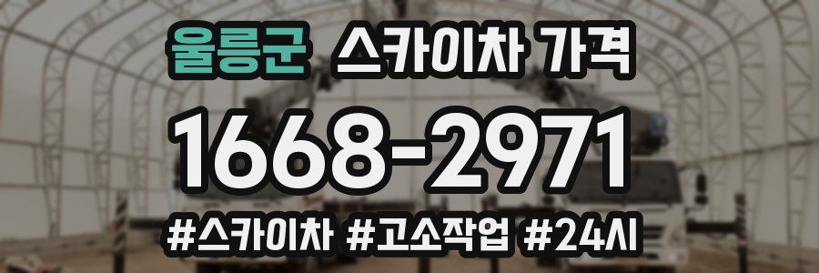 울릉군 스카이차 가격