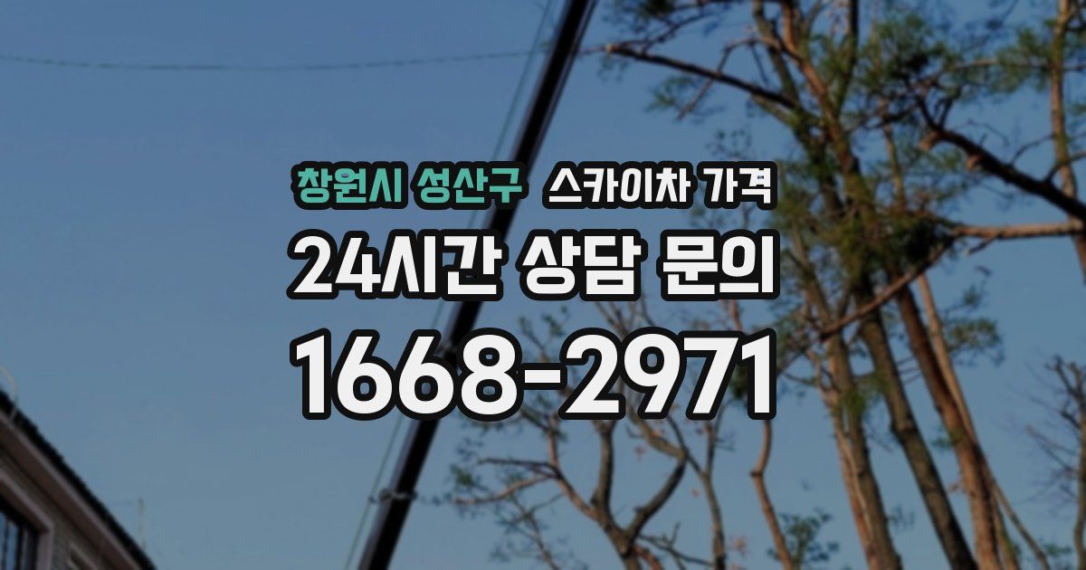 창원시 성산구 스카이차 가격