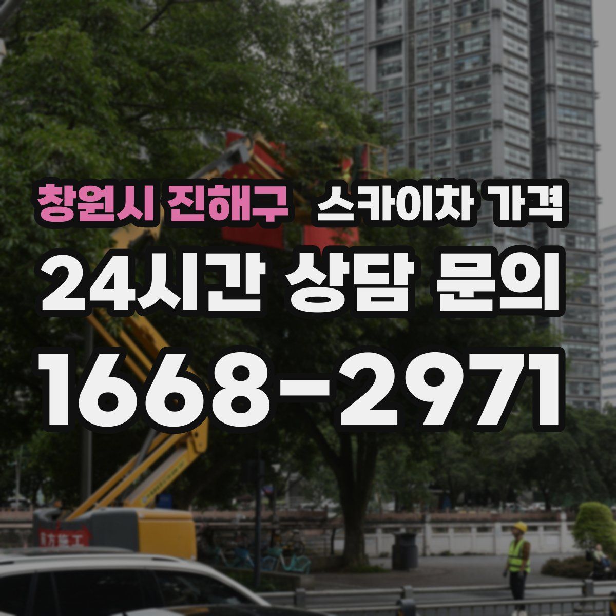 창원시 진해구 스카이차 가격