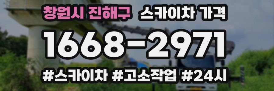 창원시 진해구 스카이차 가격