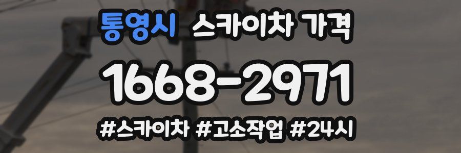 통영시 스카이차 가격