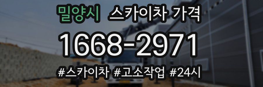 밀양시 스카이차 가격