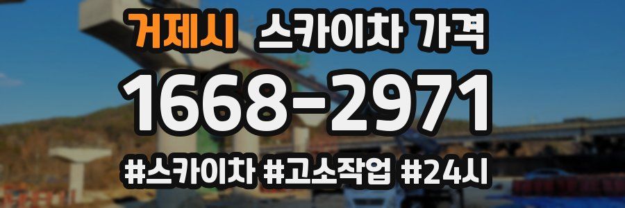 거제시 스카이차 가격