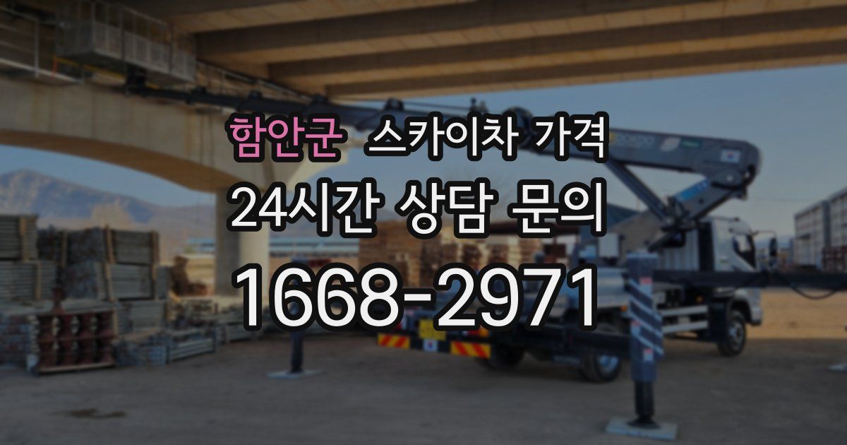 함안군 스카이차 가격