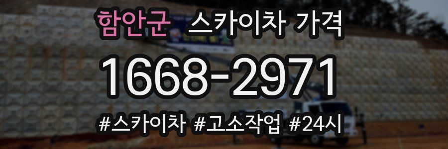 함안군 스카이차 가격