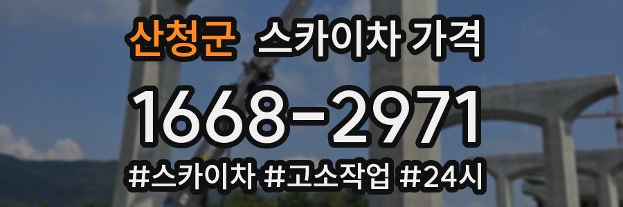 산청군 스카이차 가격