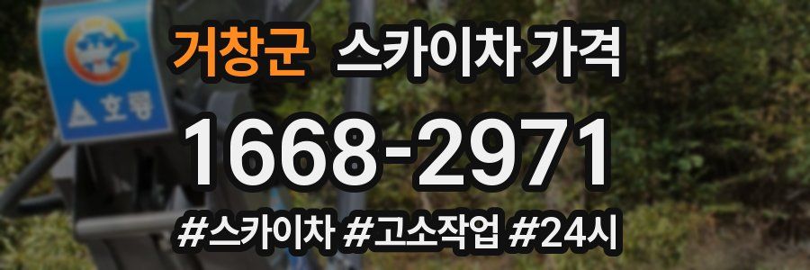거창군 스카이차 가격