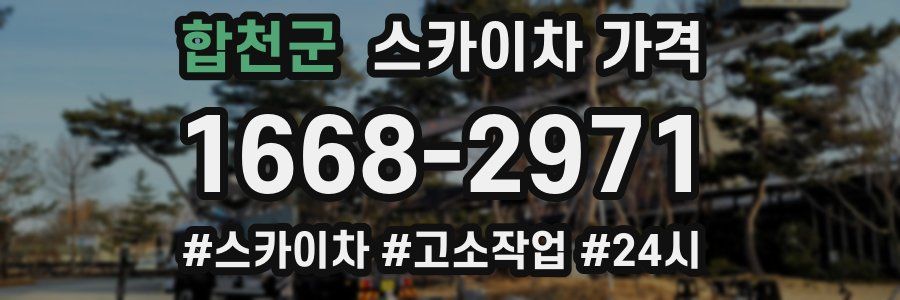 합천군 스카이차 가격