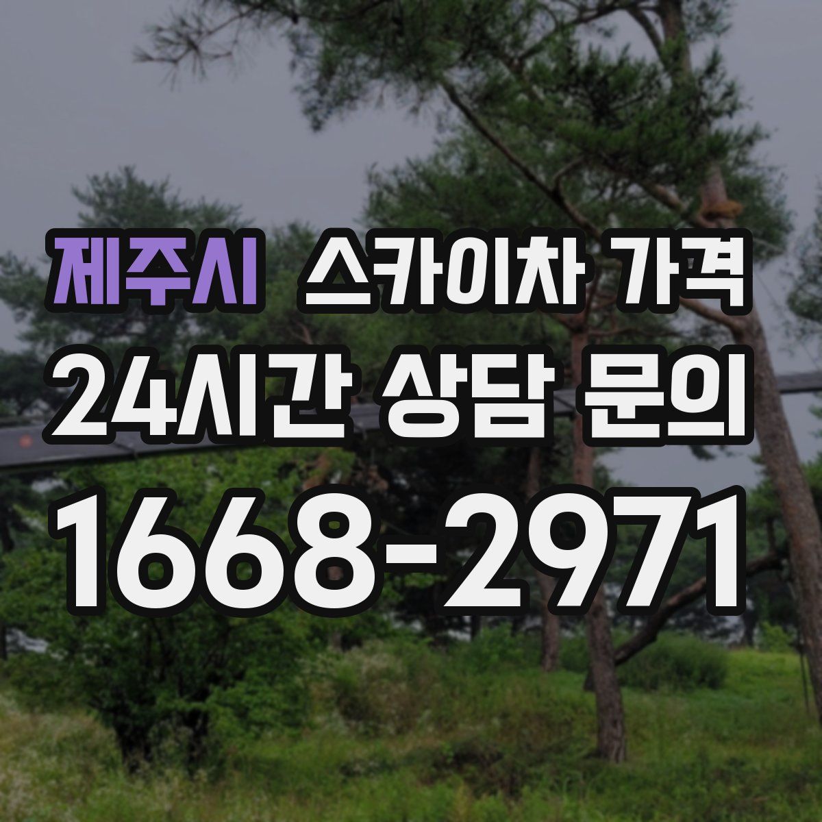 제주시 스카이차 가격