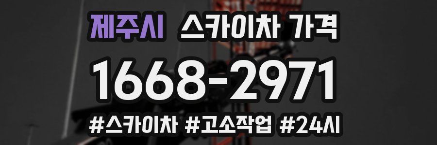 제주시 스카이차 가격