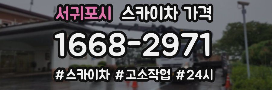 서귀포시 스카이차 가격