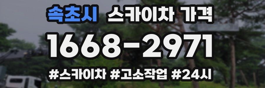 속초시 스카이차 가격