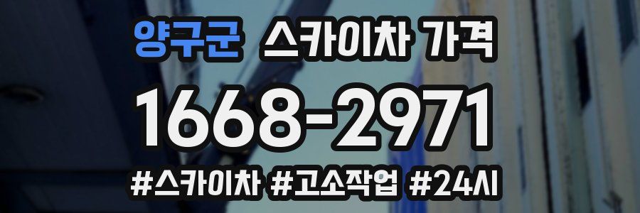 양구군 스카이차 가격