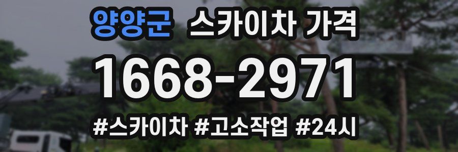 양양군 스카이차 가격