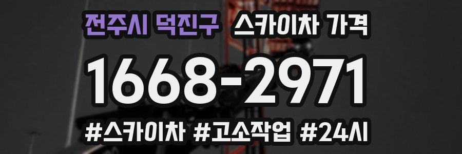 전주시 덕진구 스카이차 가격