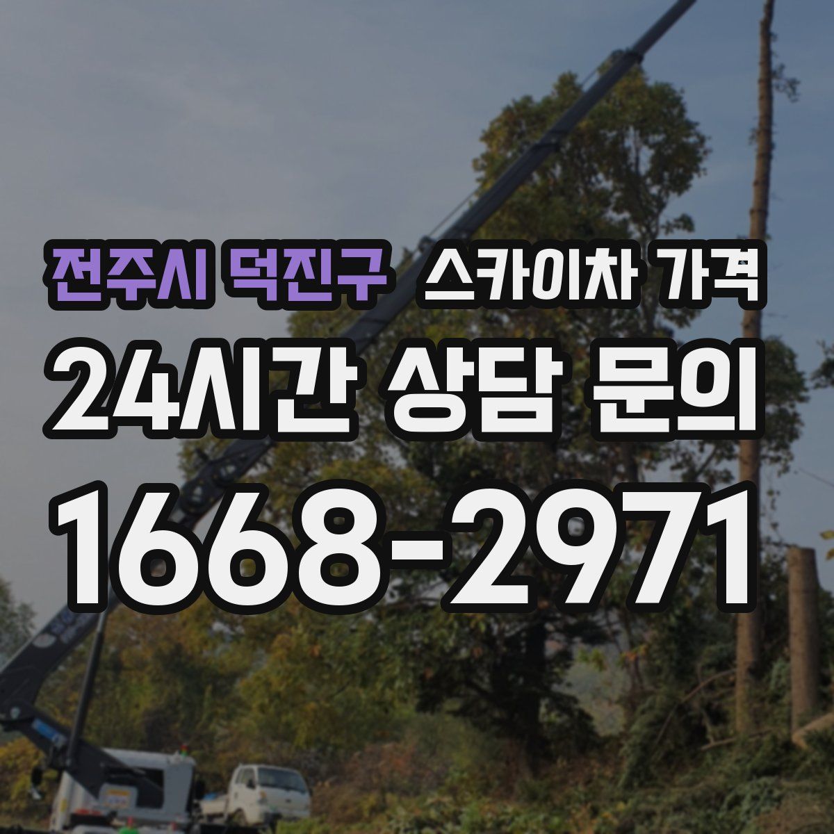 전주시 덕진구 스카이차 가격