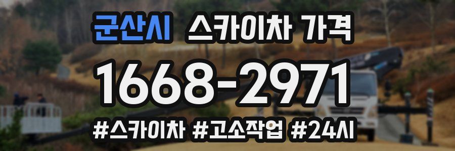 군산시 스카이차 가격