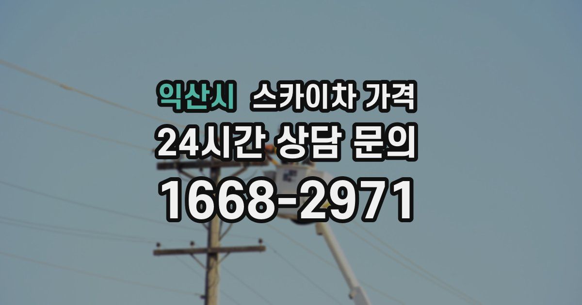 익산시 스카이차 가격