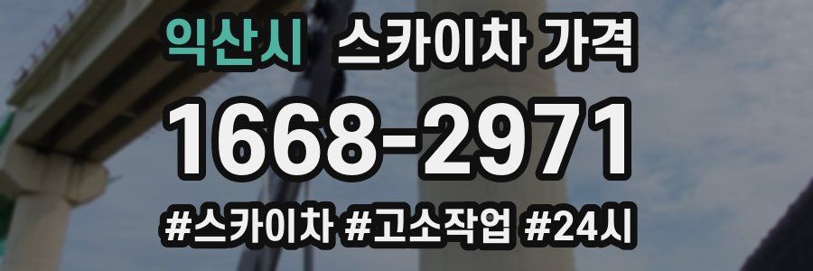 익산시 스카이차 가격