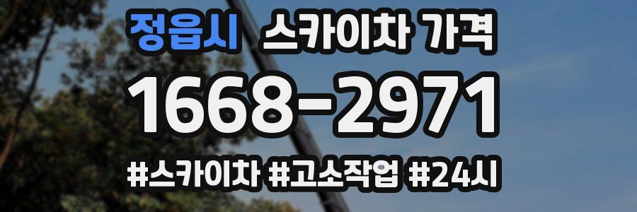 정읍시 스카이차 가격