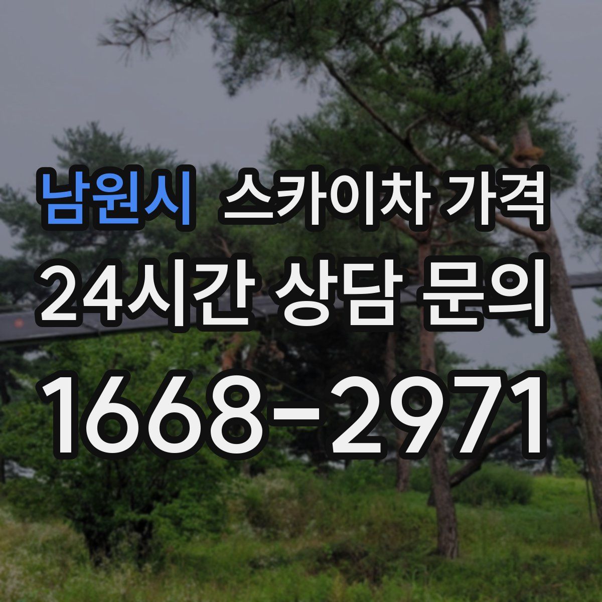 남원시 스카이차 가격