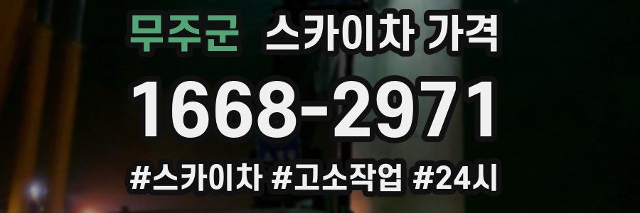 무주군 스카이차 가격