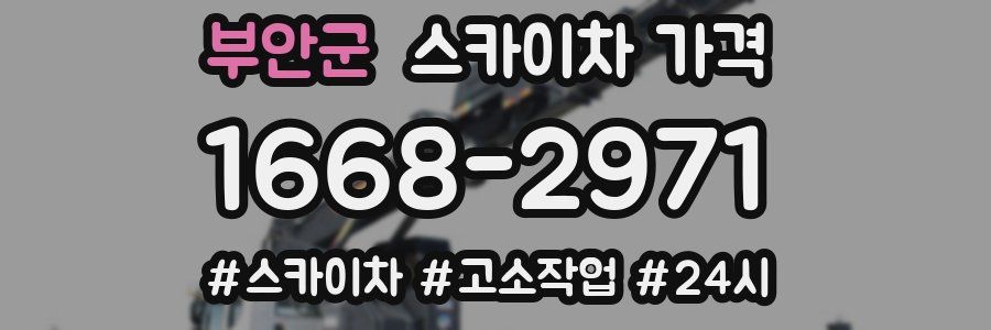 부안군 스카이차 가격