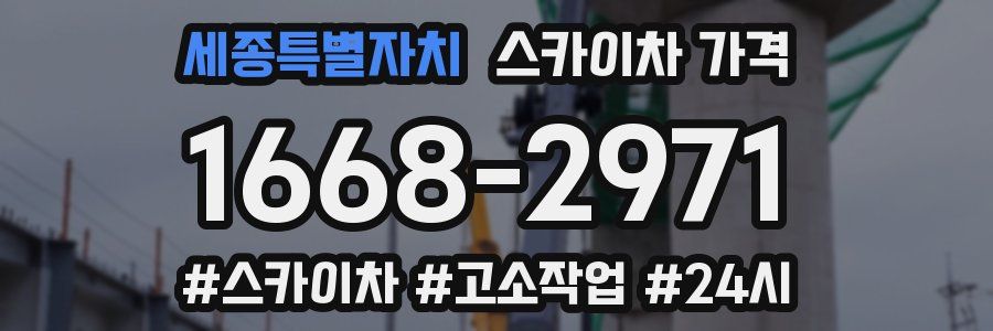 세종특별자치 스카이차 가격