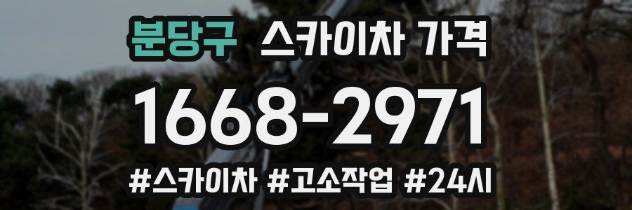 분당구 스카이차 가격