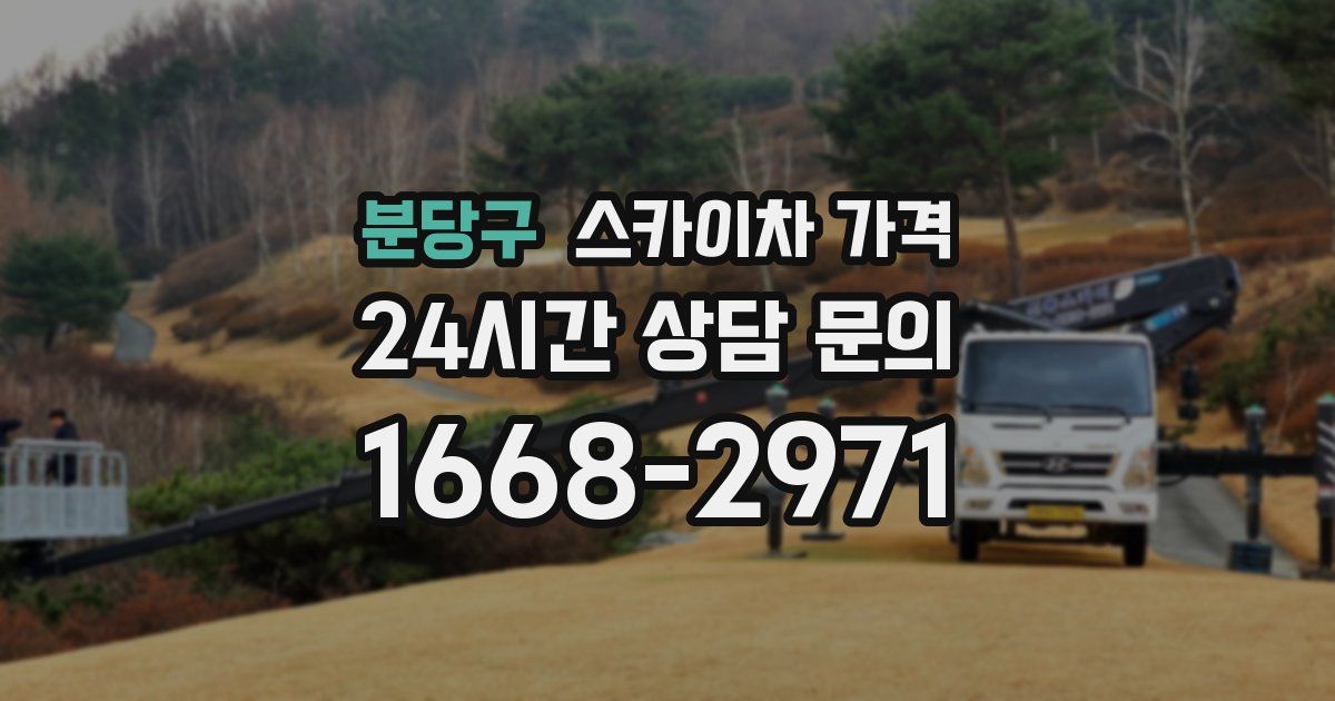 분당구 스카이차 가격