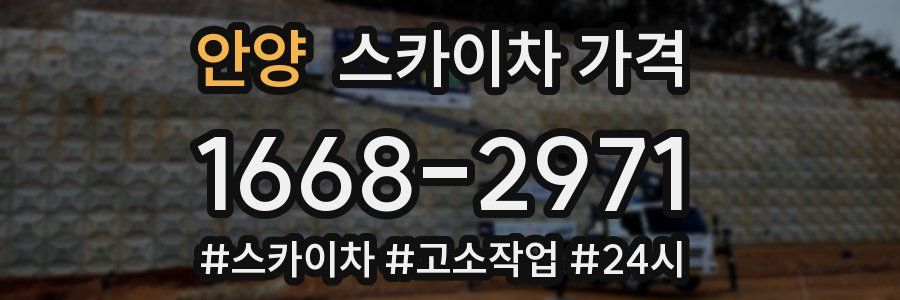 안양 스카이차 가격