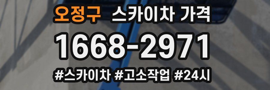 오정구 스카이차 가격