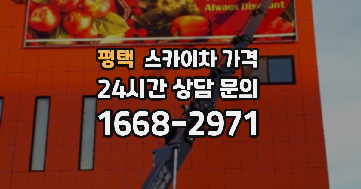 평택 스카이차 가격