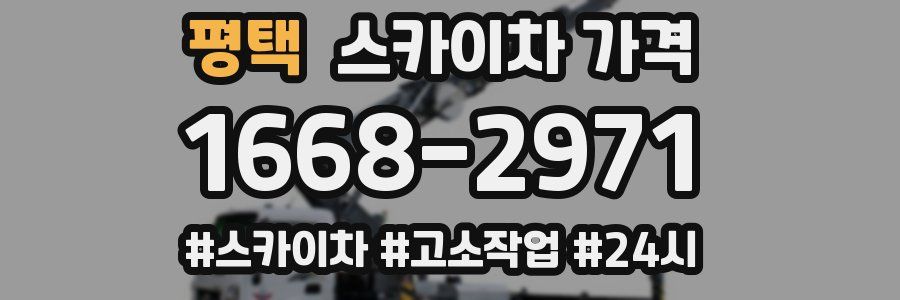 평택 스카이차 가격