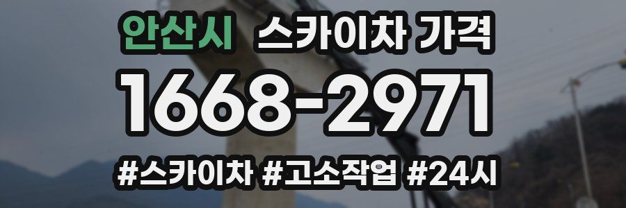 안산시 스카이차 가격