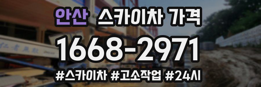 안산 스카이차 가격