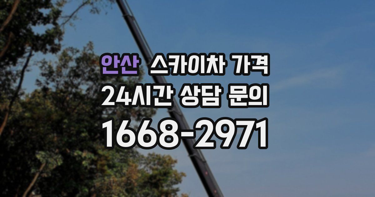 안산 스카이차 가격