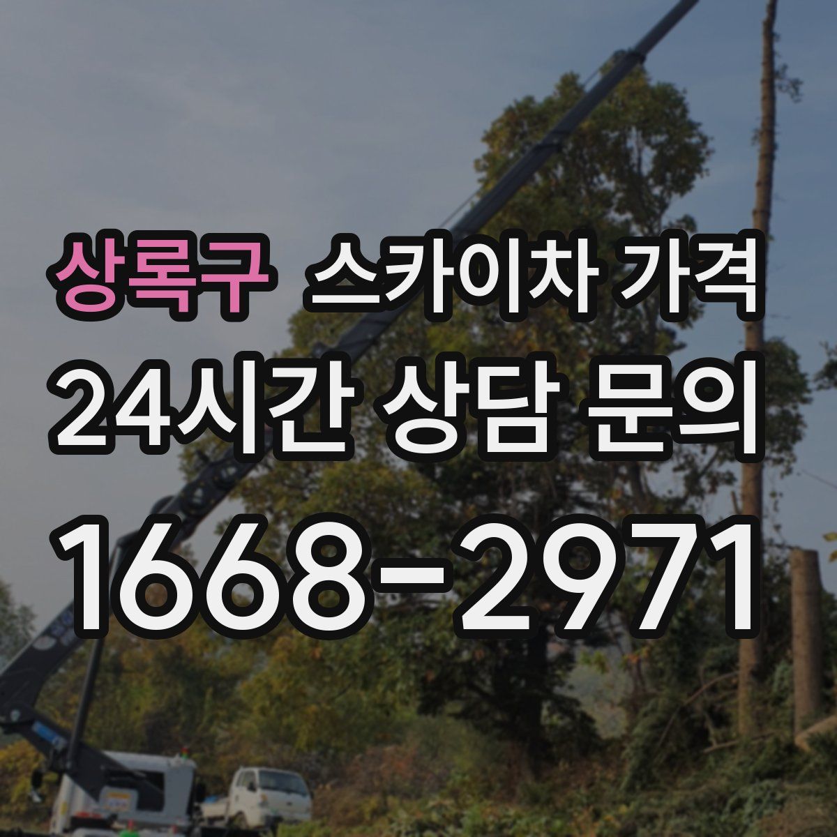 상록구 스카이차 가격