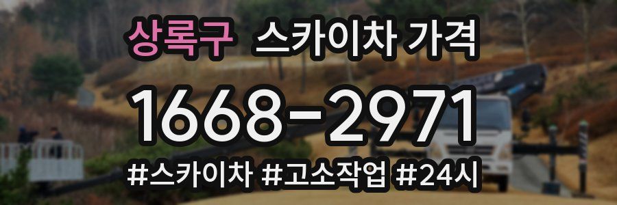 상록구 스카이차 가격