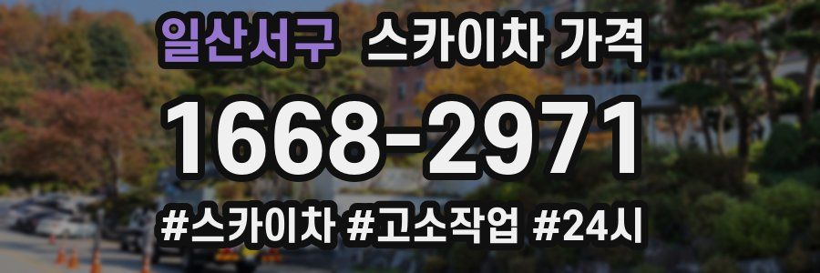 일산서구 스카이차 가격