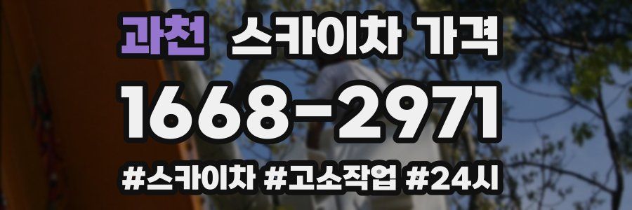 과천 스카이차 가격