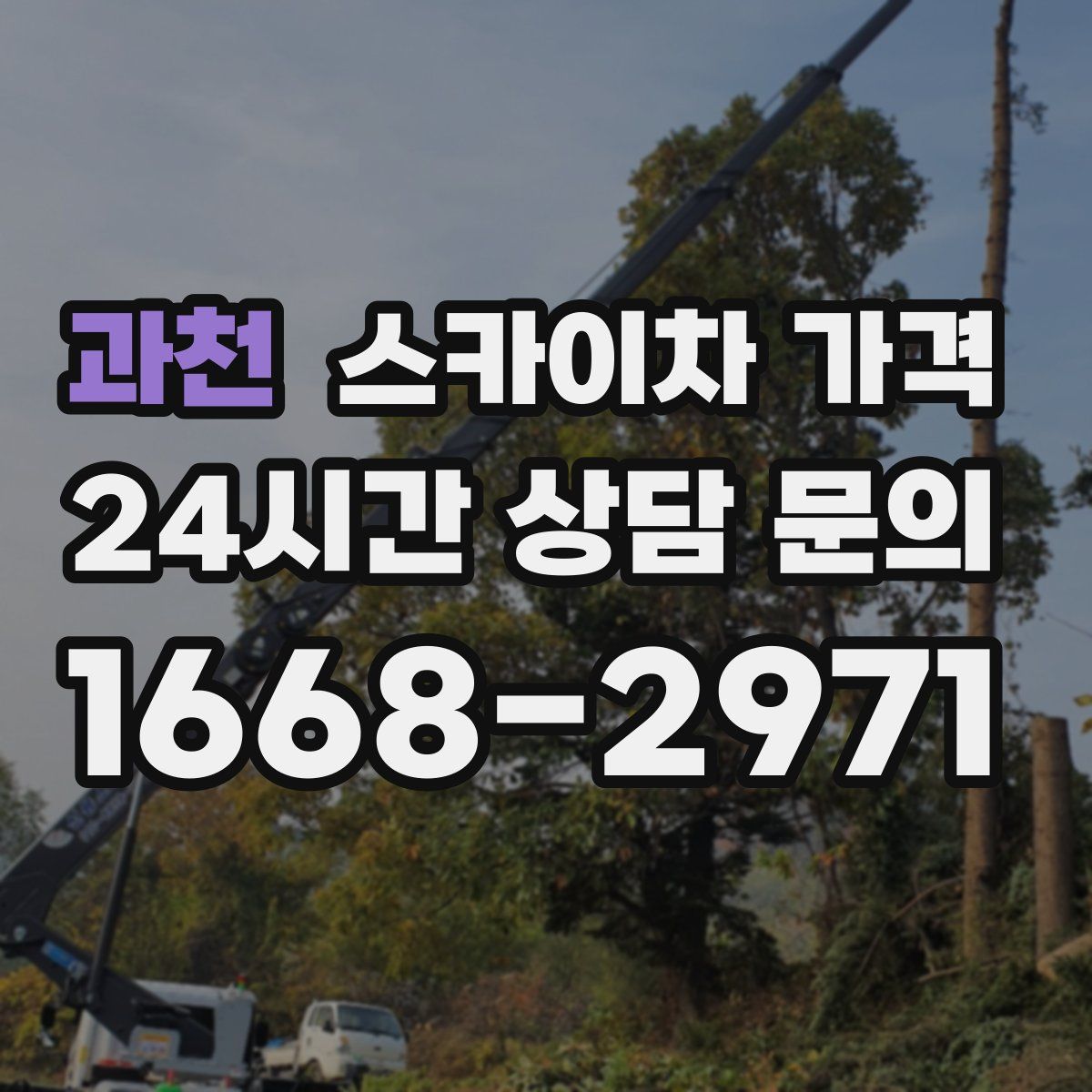 과천 스카이차 가격