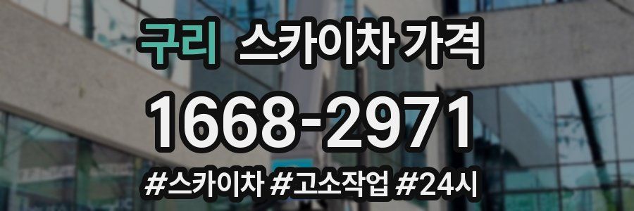 구리 스카이차 가격