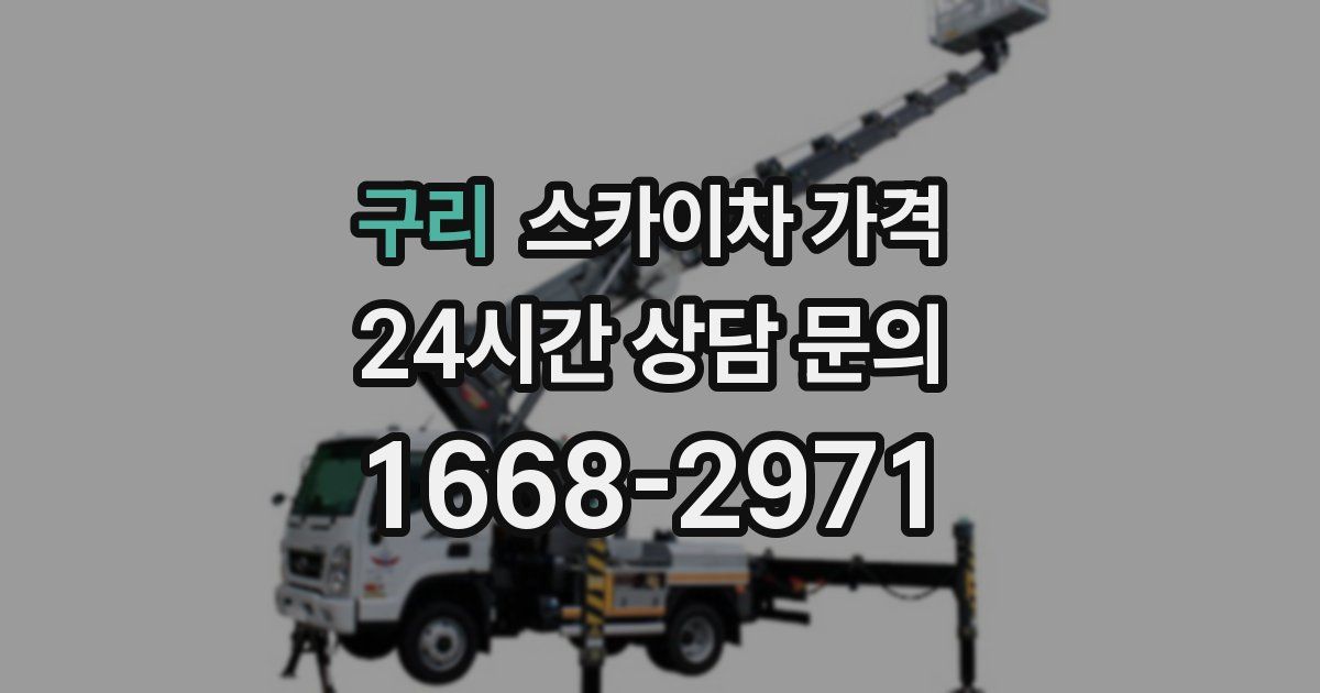 구리 스카이차 가격