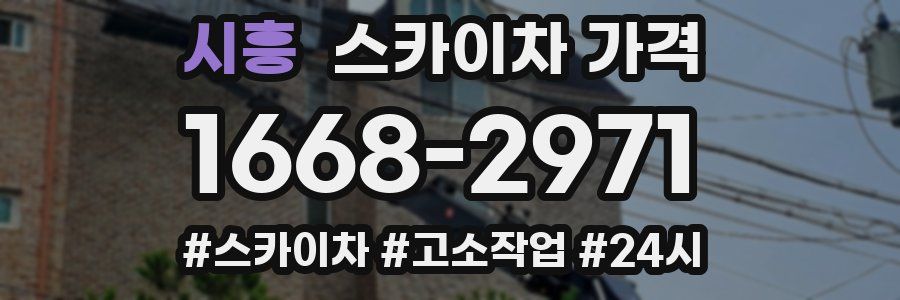 시흥 스카이차 가격