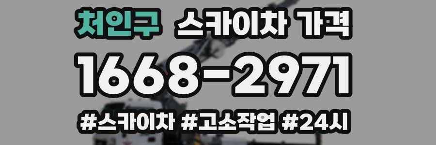 처인구 스카이차 가격