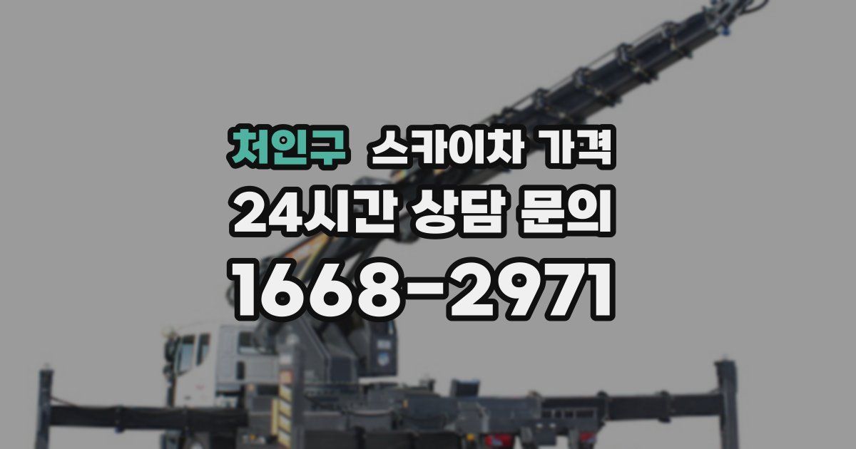 처인구 스카이차 가격