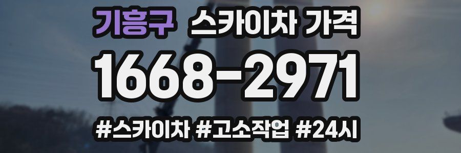 기흥구 스카이차 가격