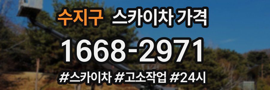 수지구 스카이차 가격